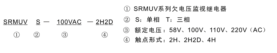 SRMUVT-100VAC-2H型号及其含义